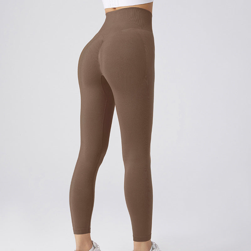 Seamless Workout Leggings